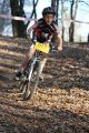 IMG_0476 (Copier).JPG